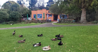 Virginia Lake Café, Whanganui