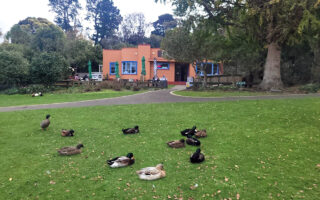 Virginia Lake Café, Whanganui
